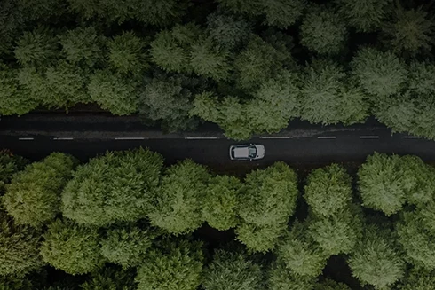 imagem vista de cima de carro na estrada e com muitas árvores dos dois lados da estrada