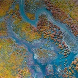 Foto aérea de rio sinuoso entre folhagens coloridas