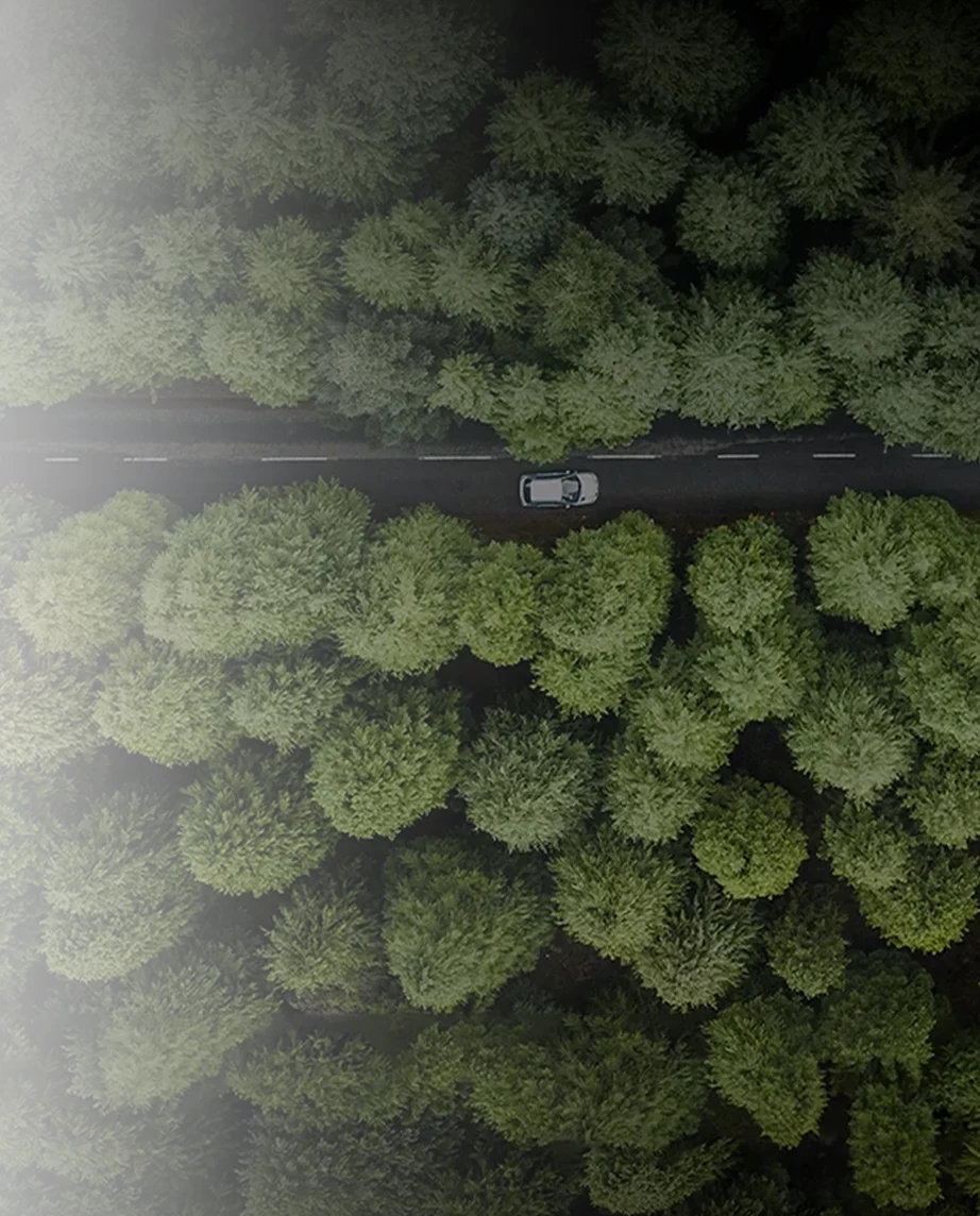 imagem vista de cima de carro na estrada e com muitas árvores dos dois lados da estrada