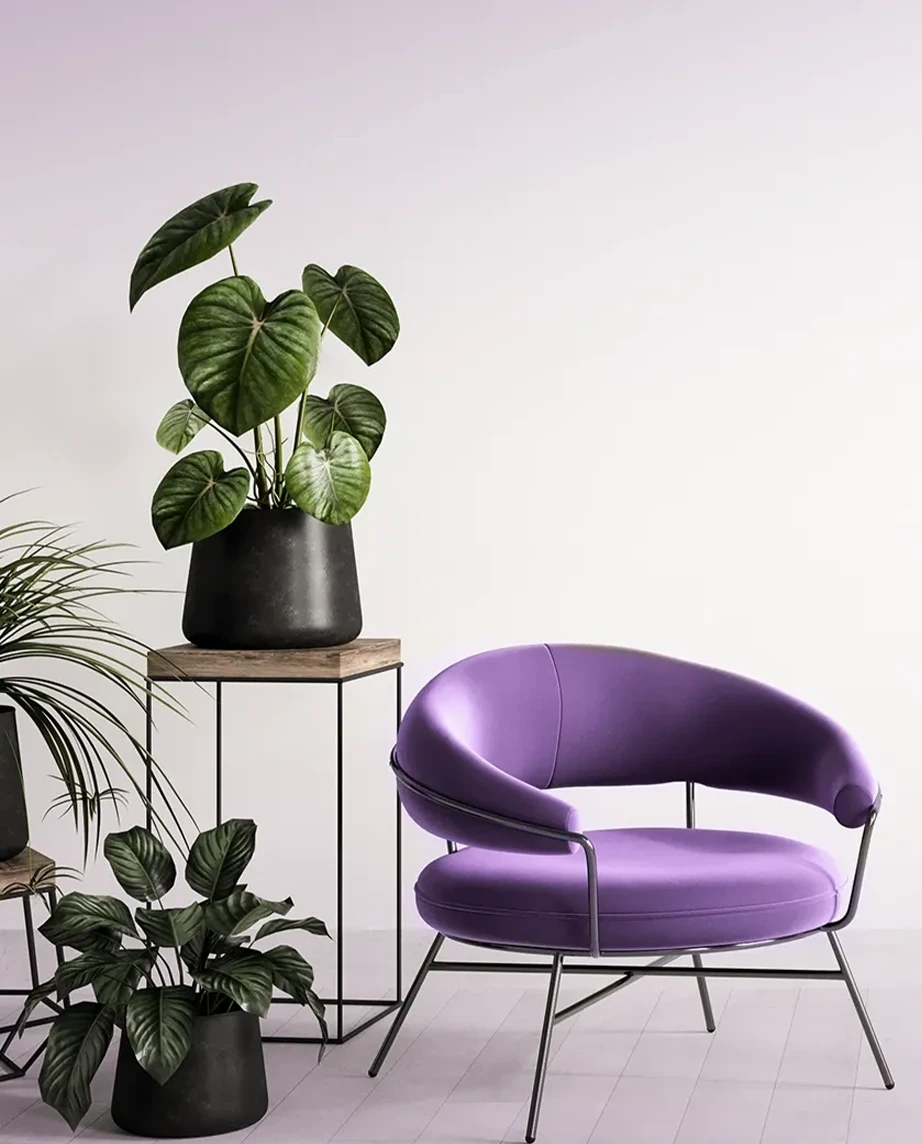 cadeira de design, roxa, em frente a vasos com plantas