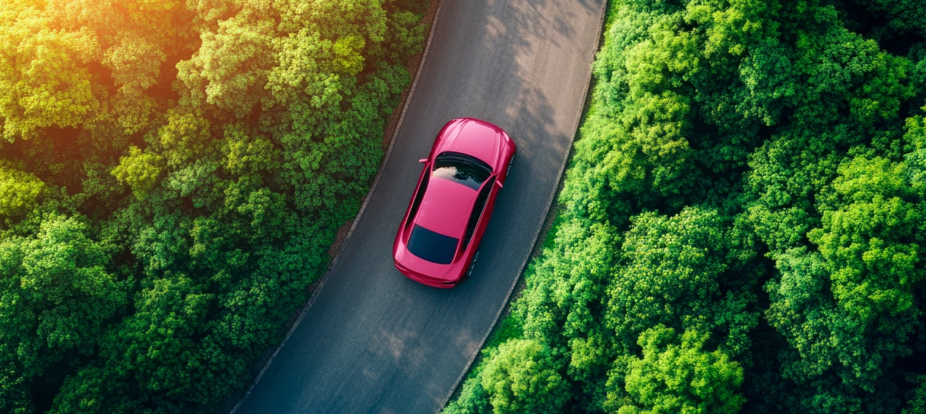 Vista aérea de um carro cor-de-rosa escuro a circular numa estrada rodeada por uma floresta verde