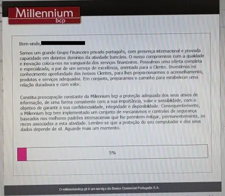 Exemplo de uma página fraudulenta