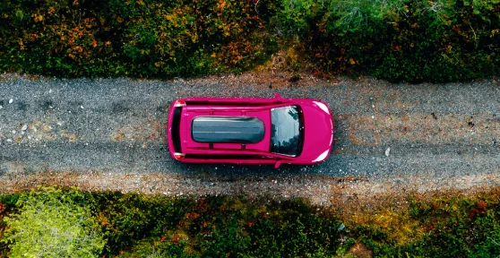 Carro a andar numa estrada com árvores dos dois lados