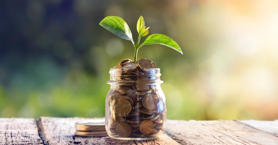 Frasco de vidro com moedas e uma pequena planta a crescer no topo