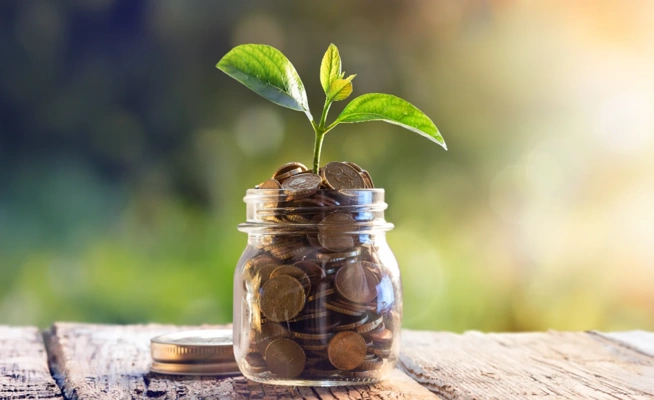 Frasco de vidro com moedas e uma pequena planta a crescer no topo