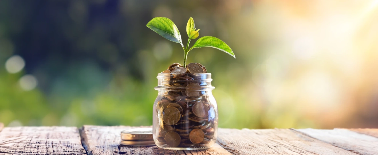 Frasco de vidro com moedas e uma pequena planta a crescer no topo