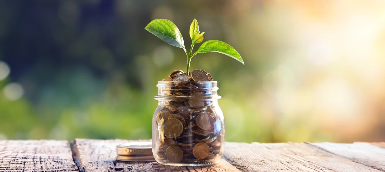 Frasco de vidro com moedas e uma pequena planta a crescer no topo