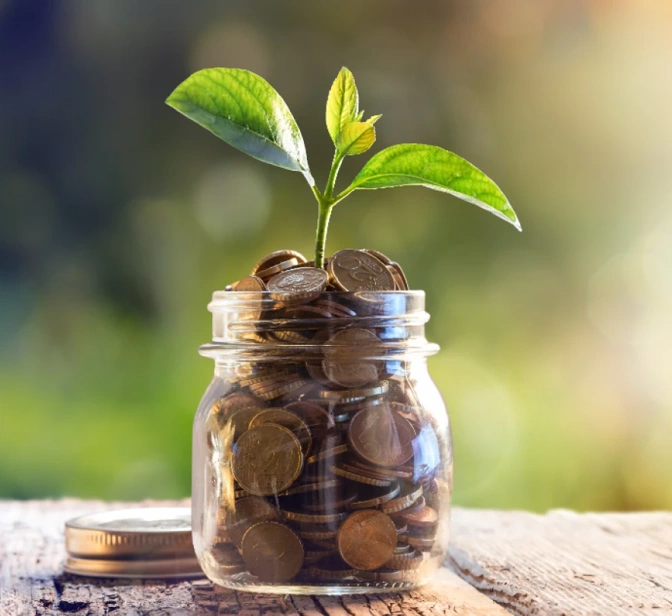 Frasco de vidro com moedas e uma pequena planta a crescer no topo