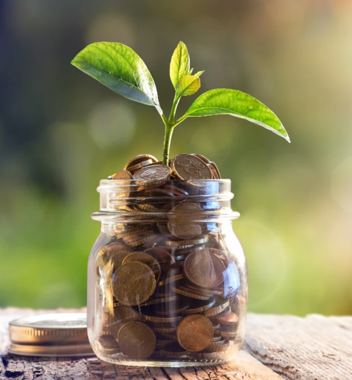 Frasco de vidro com moedas e uma pequena planta a crescer no topo