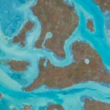 Foto aérea de rio sinuoso entre folhagens verdes