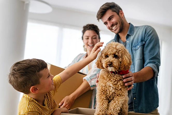 casal com filho a brincar com o seu cão