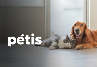 Gato e cão deitados no chão