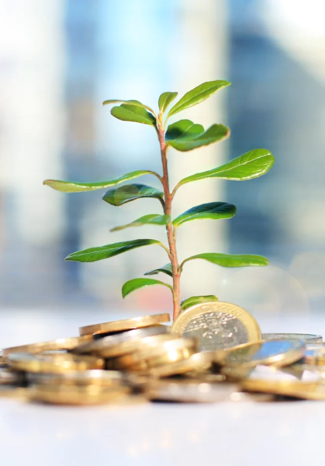 Pequena planta a crescer sobre uma pilha de moedas, simbolizando crescimento financeiro e sustentabilidade