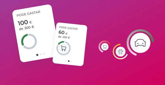 Elementos da área Gerir mostram quanto pode gastar em cada categoria do orçamento, definido pelo Cliente