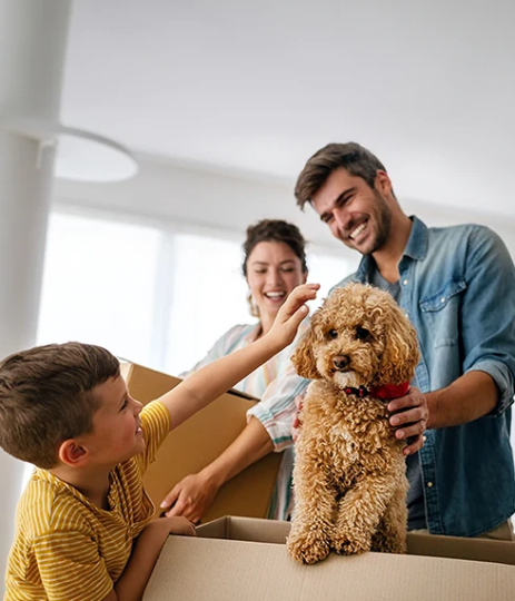 casal com filho a brincar com o seu cão
